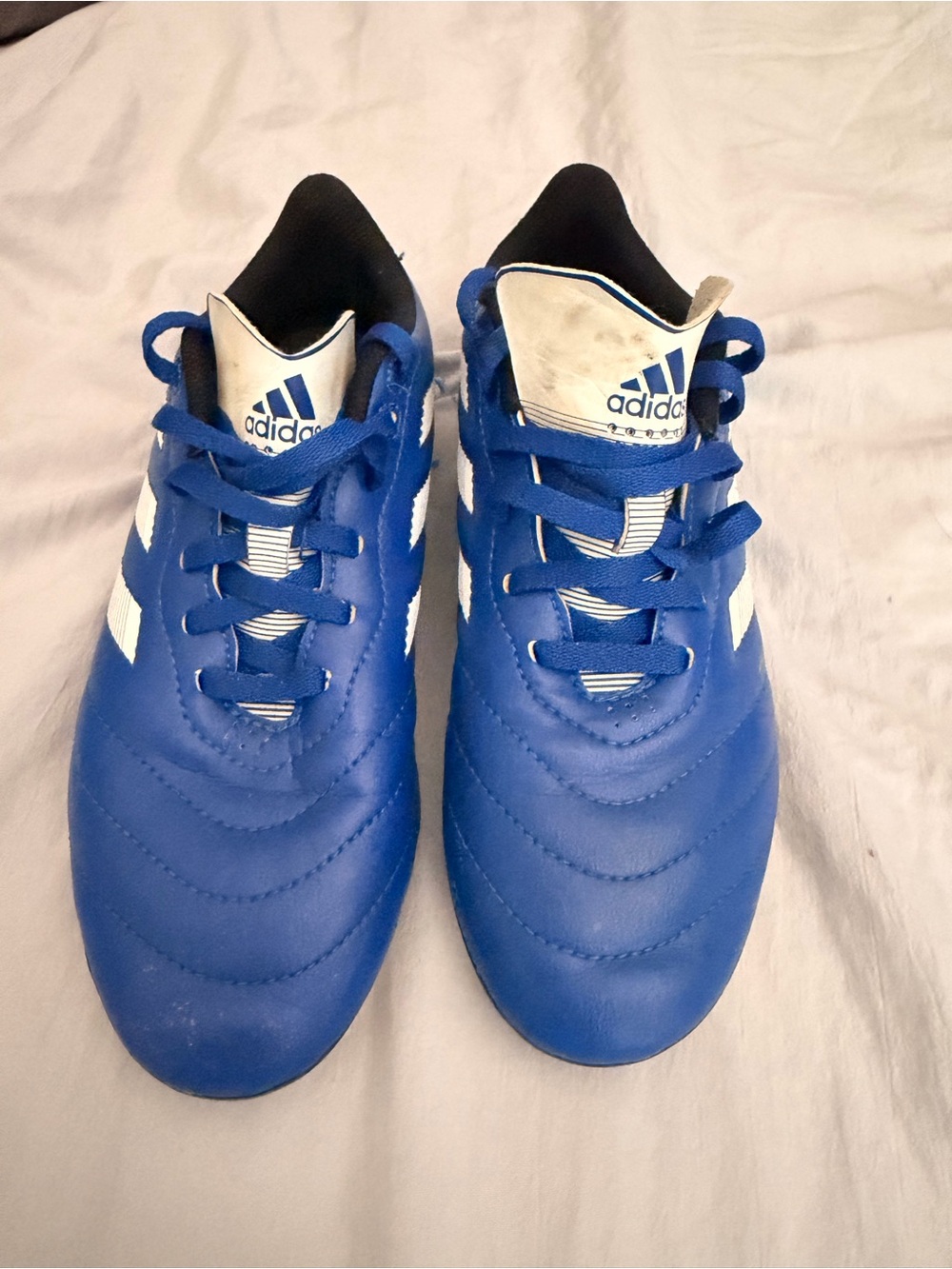 adidas Kids Royal Blue and White Soccer Shoes